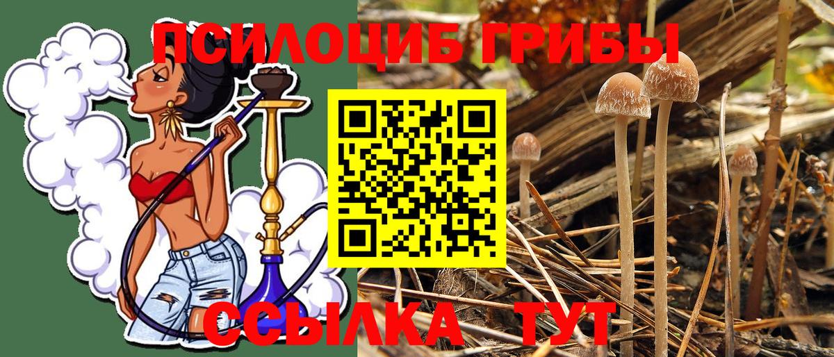 Псилоцибиновые грибы мухоморы  Псилоцибиновые грибы GOLDEN TEACHER  закладка  Вход с VPN  Гатчина 